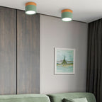 Compact Round LED Surface Mount Ceiling Light