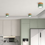 Compact Round LED Surface Mount Ceiling Light