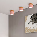 Compact Round LED Surface Mount Ceiling Light