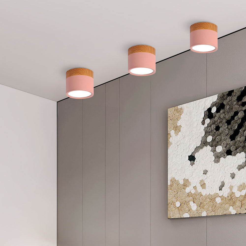 Compact Round LED Surface Mount Ceiling Light