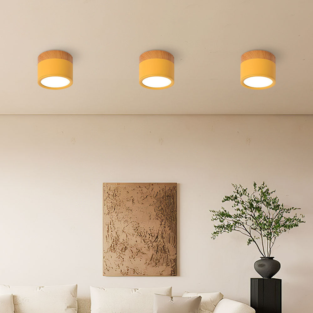 Compact Round LED Surface Mount Ceiling Light