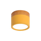 Compact Round LED Surface Mount Ceiling Light