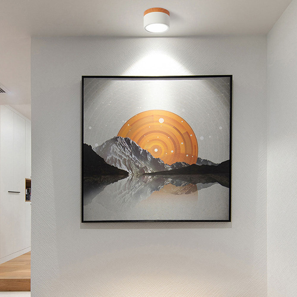 Compact Round LED Surface Mount Ceiling Light