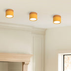 Compact Round LED Surface Mount Ceiling Light