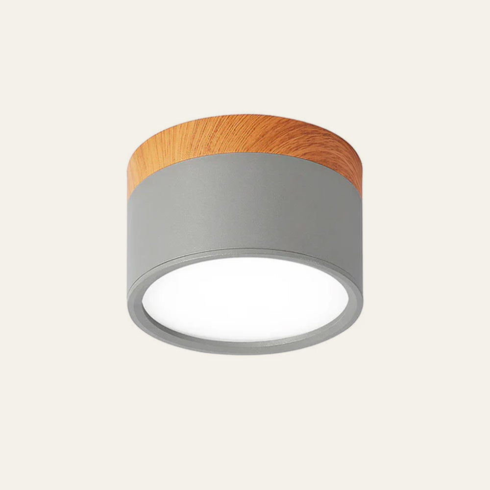 Compact Round LED Surface Mount Ceiling Light