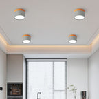 Compact Round LED Surface Mount Ceiling Light
