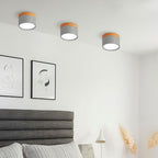 Compact Round LED Surface Mount Ceiling Light