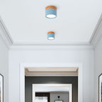Compact Round LED Surface Mount Ceiling Light