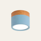 Compact Round LED Surface Mount Ceiling Light