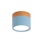 Compact Round LED Surface Mount Ceiling Light