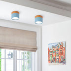 Compact Round LED Surface Mount Ceiling Light