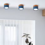 Compact Round LED Surface Mount Ceiling Light