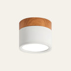 Compact Round LED Surface Mount Ceiling Light