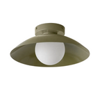 Flush Mount Ceiling Light