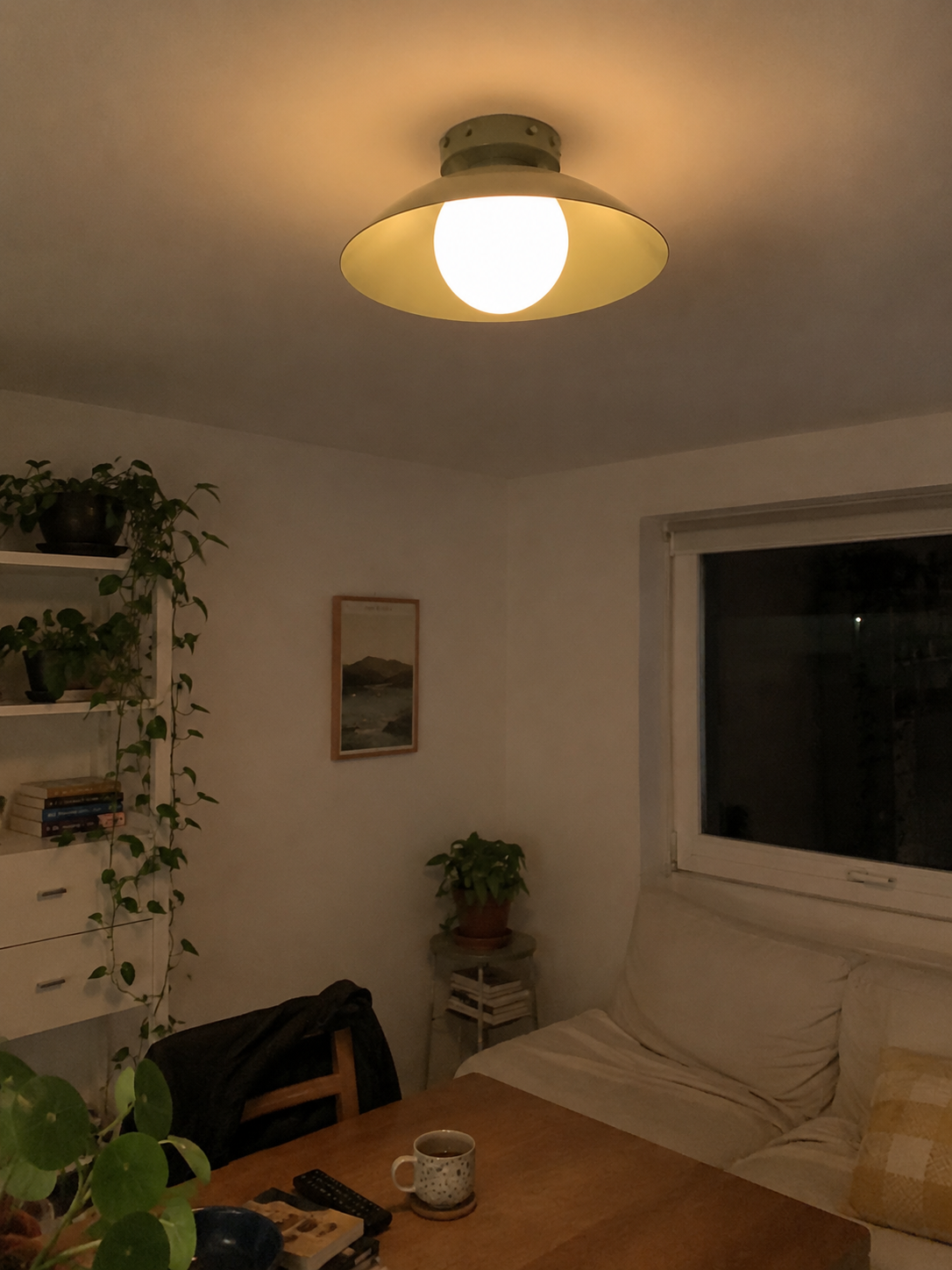 Flush Mount Ceiling Light