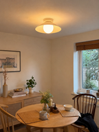 Flush Mount Ceiling Light