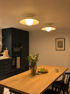 Flush Mount Ceiling Light