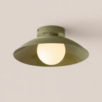 Flush Mount Ceiling Light