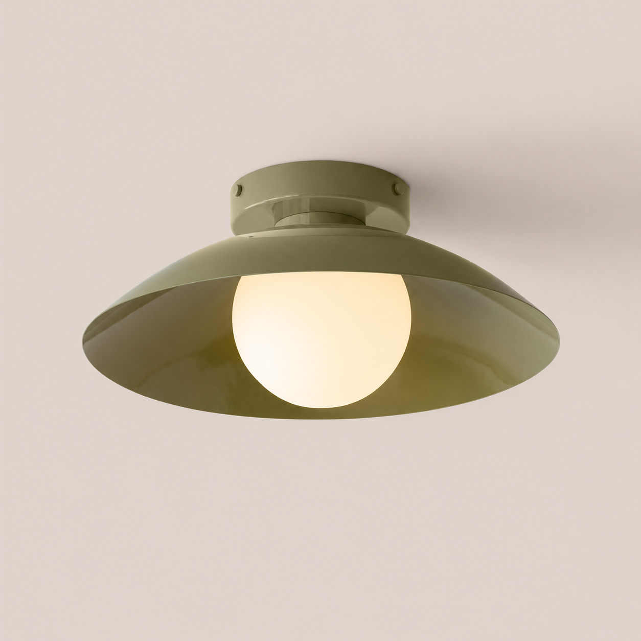 Flush Mount Ceiling Light