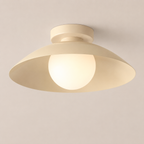 Flush Mount Ceiling Light