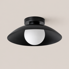 Flush Mount Ceiling Light