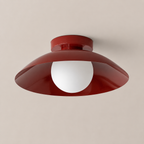 Flush Mount Ceiling Light