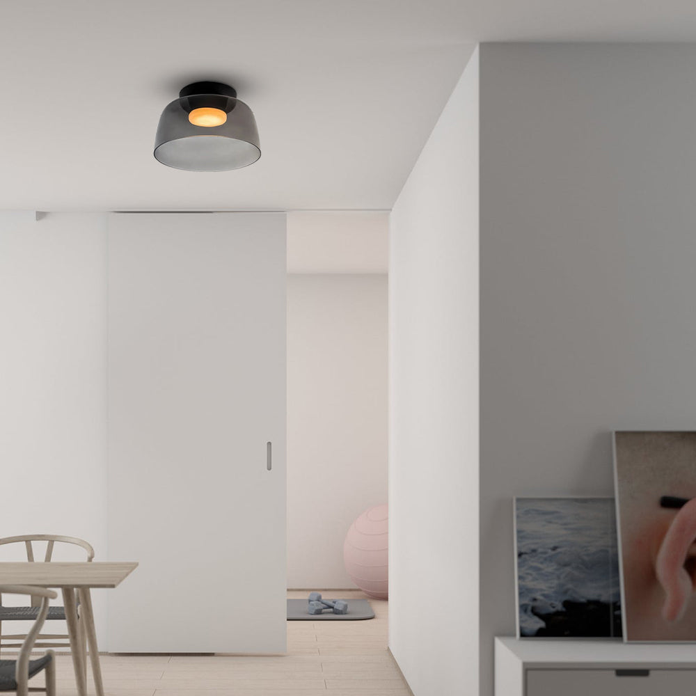 Glass Shade LED Flush Mount Ceiling Light