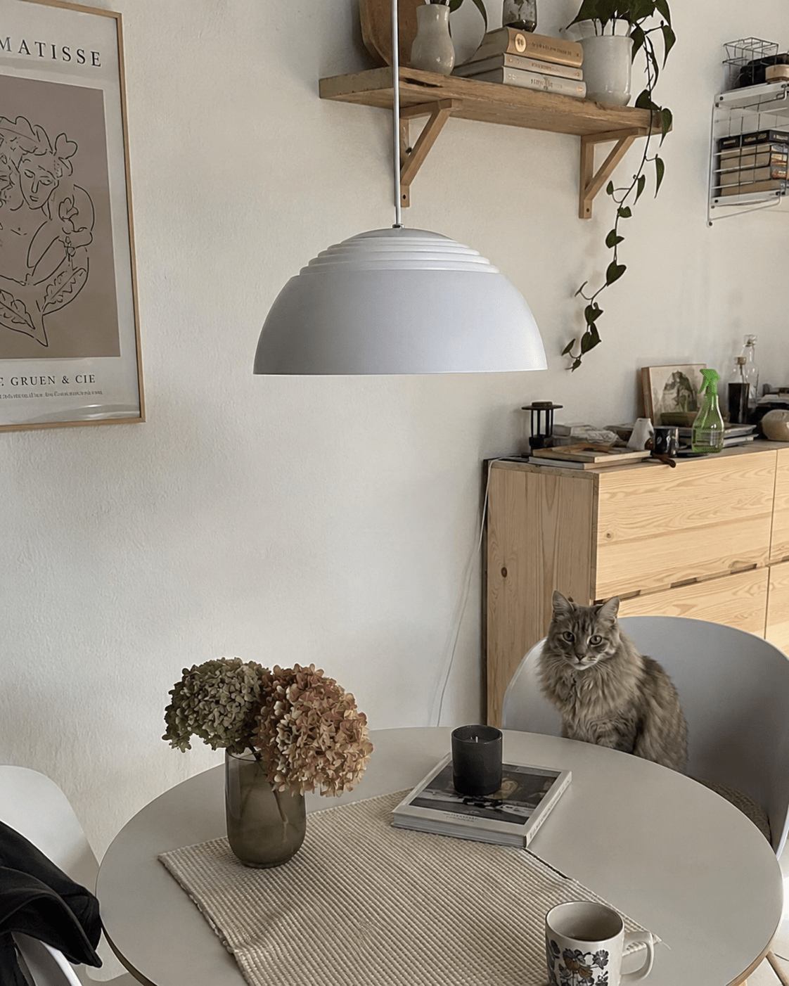 LED Dome Pendant Light