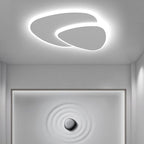 LED Flush Mount Ceiling Light Asymmetric