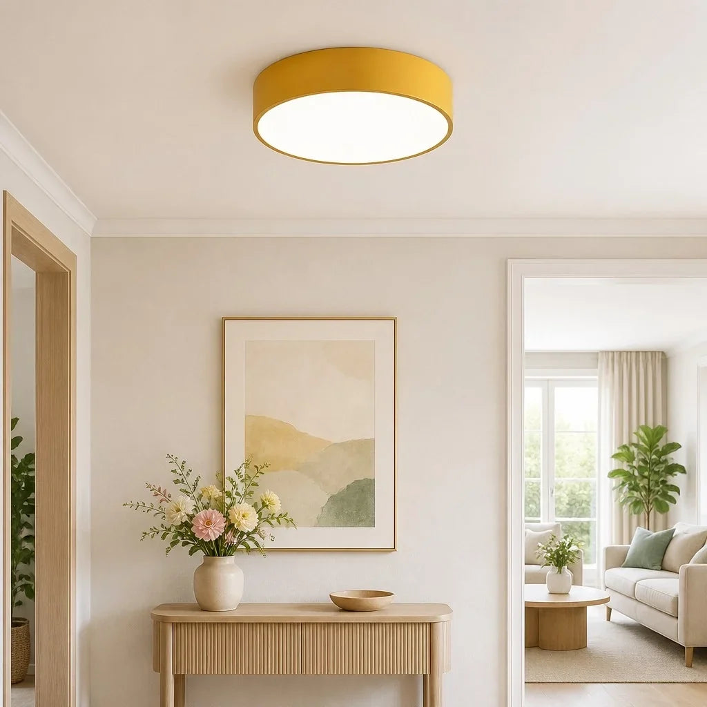 Round Flush Mount LED Ceiling Light