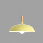 Scandinavian Metal Dome Pendant Light with Oak Wood Accent