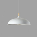 Scandinavian Metal Dome Pendant Light with Oak Wood Accent