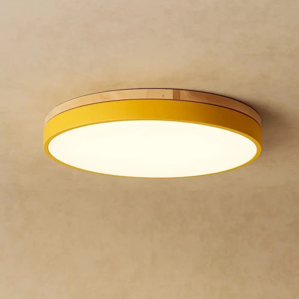 Wood Trim LED Flush Mount Ceiling Light