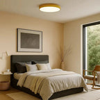 Wood Trim LED Flush Mount Ceiling Light