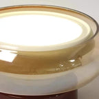 Glass LED Flush Mount Ceiling Light