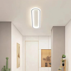 Oval LED Flush Mount Minimalist Ceiling Light