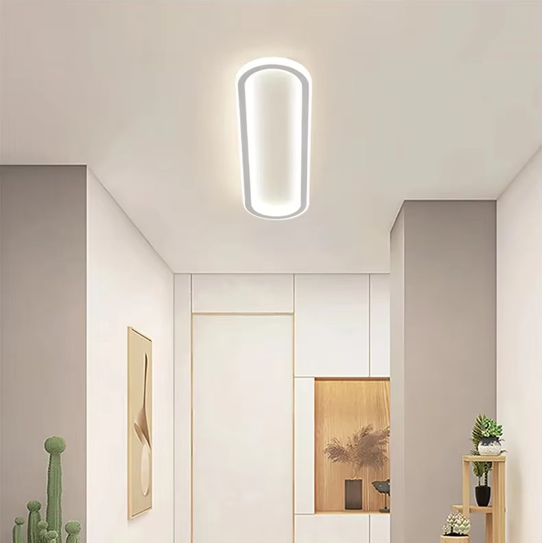 Oval LED Flush Mount Minimalist Ceiling Light